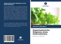 Harouna Coulibaly | Organisatorische Diagnose Eines Unternehmens | Taschenbuch