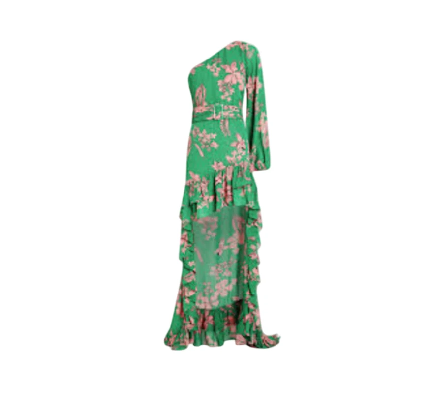 green emerald velvet dress Alora Embroidered Dress in Sage