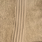 Picture 10 of 10