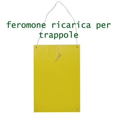 2pz Pheromone X Dacus Track Serbios S R L Piege Panneau Jaune Mouche Olive Ebay