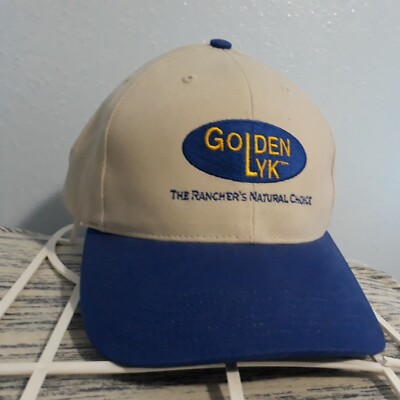 Vintage GOLDEN LYK Baseball Hat Embroidered Blue & Beige Strapback Cap NWOT
