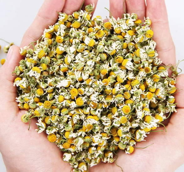 Chamomile Tea Egyptian Whole Flowers 8 oz