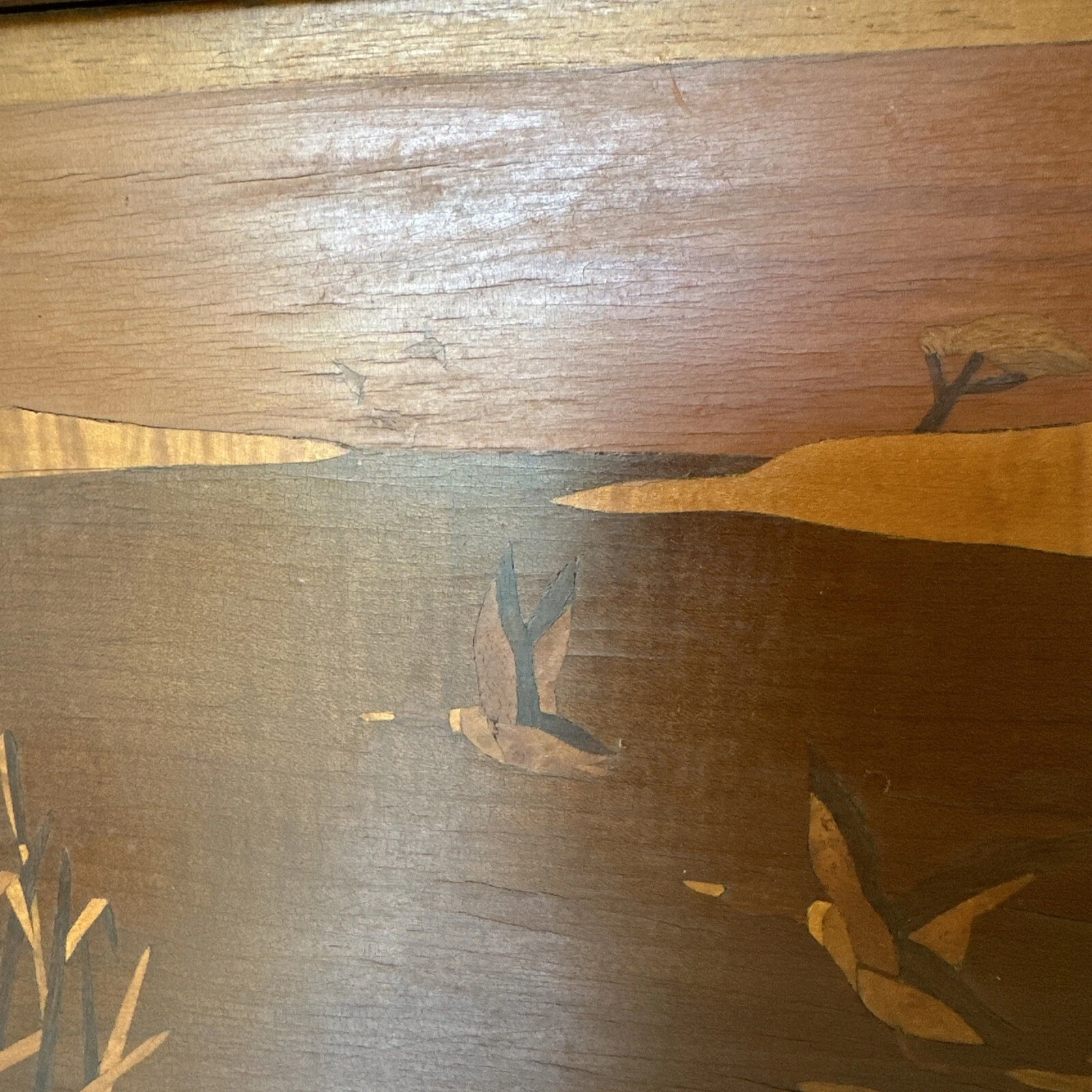 Picture 20 of 21