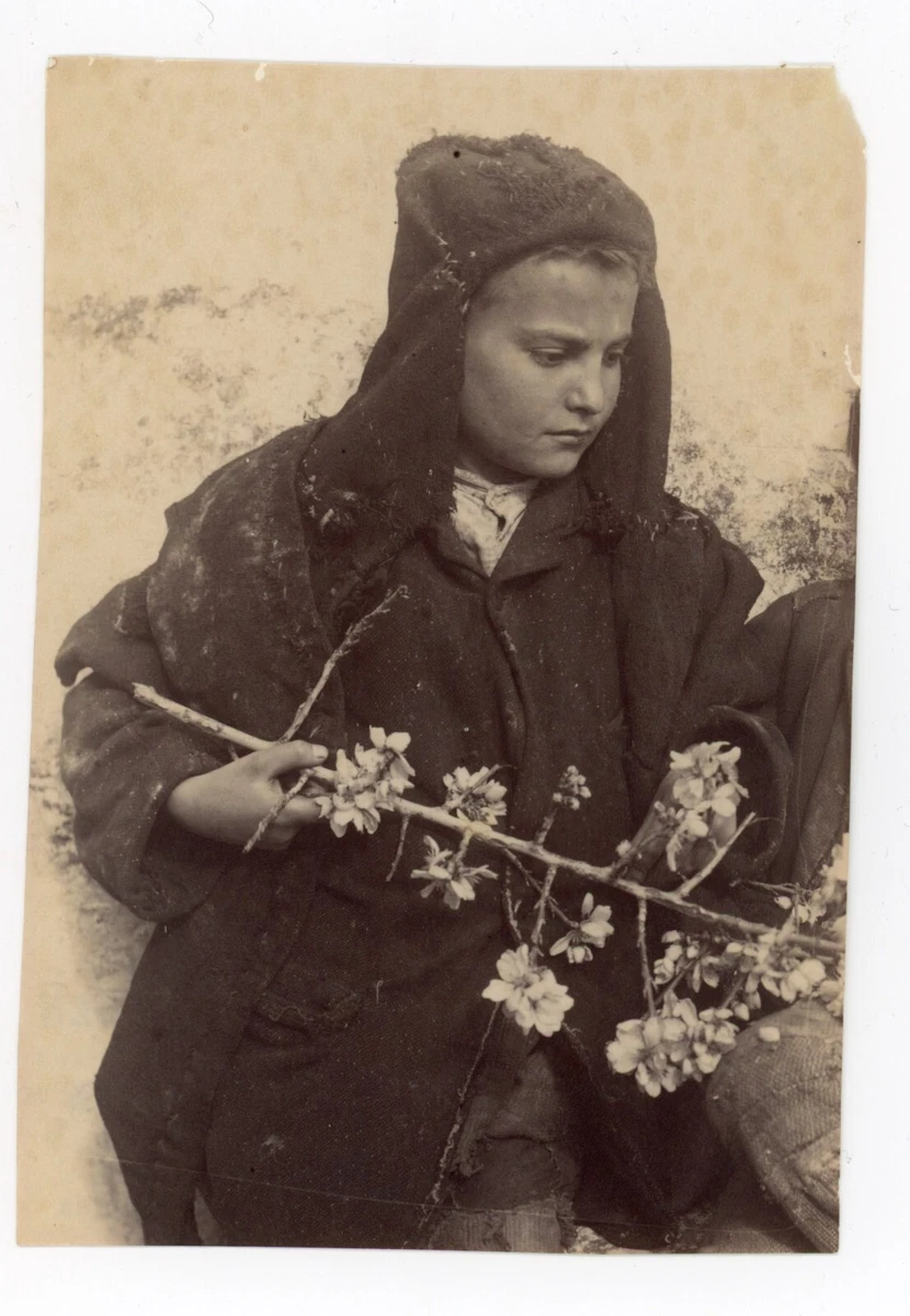 Tirage Albuminé Vintage Gloeden - Jeune Homme Circa 1890 | Format 15,7x21 Cm | Photo Ancienne Originale