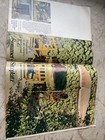 Bild 5 von 6