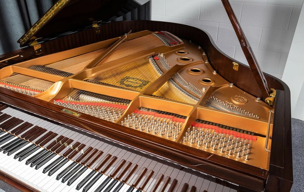 break down Ham compression YAMAHA GRAND PIANO C3. AROUND 20 YEARS OLD. 5 YEAR GUARANTEE. 0 % FINANCE. | eBay break down Ham compression YAMAHA GRAND PIANO C3. AROUND 20 YEARS OLD. 5 YEAR GUARANTEE. 0 % FINANCE. | eBay