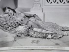 Eloise Hart Photo 8x10 Arabian Nights Universal Studios — photo 2