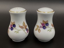 Royal Worcester Evesham Salt & Pepper Shakers 3.5” Fruit Design Vintage England