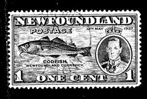 HICK GIRL-OLD  USED NEWFOUNDLAND SC#233  CODFISH, PERF. 13 1/2       X3861