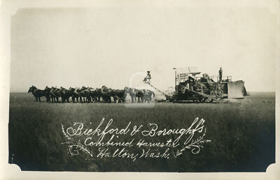Bickford & Boroughs Combined Harvester 1 c.1910 Hatton WA RPPC Postcard COPY