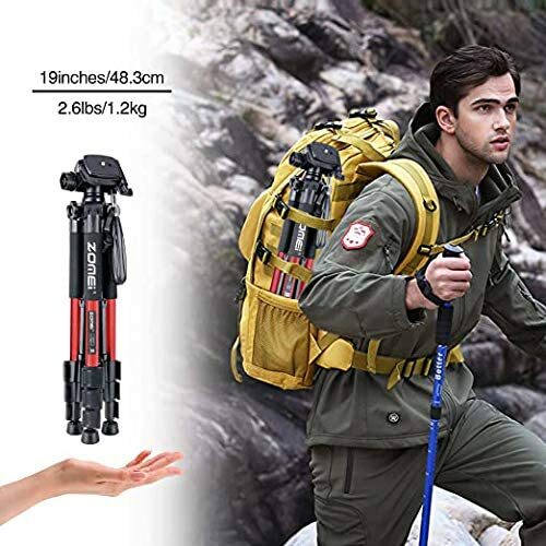 ZOMEI Q111 Aluminium Lightweight Tripod WithPan head For Canon Nikon DSLR Camera - Picture 5 of 12