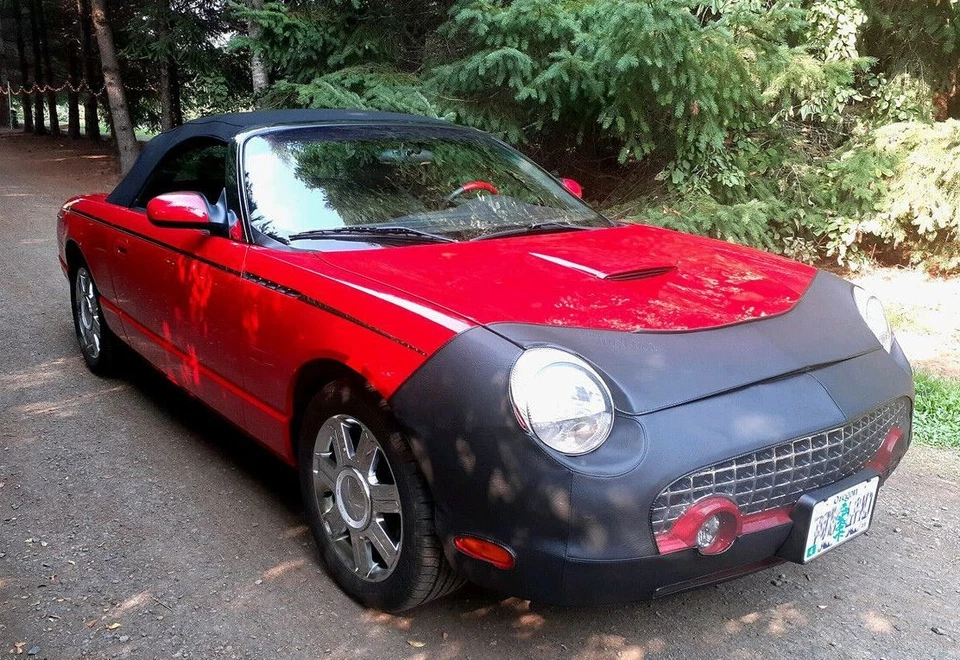 Lebra 前端面具文胸 适合 FORD THUNDERBIRD 2002 2003 2004 2005 — 第 3/4 张图片