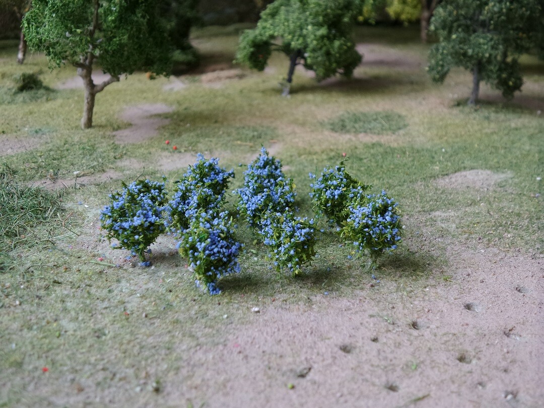 Picture 4 of 4