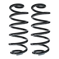 Fahrwerksfedern-Set Hinterachse Schraubenfeder Ø135Mm Spidan FüR U.A. BMW X6