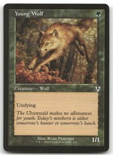 Young Wolf Retro Frame MTG Innistrad Remastered 425 C NM