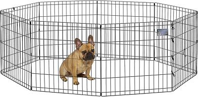 Midwest Faltbarer Metall-Laufstall für Hunde,
