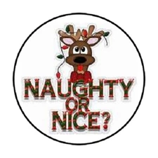 48 Naughty or Nice Reindeer !!  ENVELOPE SEALS LABELS STICKERS 1.2" ROUND