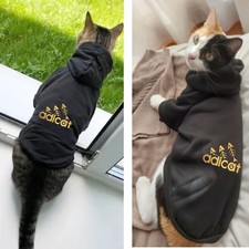 fashion cat cool clothes autumn winter puppy kitty letter printed hoodies acces