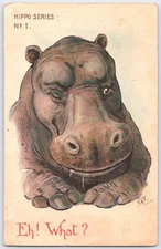 Vintage Hippo Series No. 1 Humorous Postcard Printed in Bavaria 1920