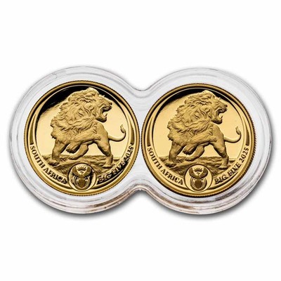 2025 South Africa 2-Coin Gold Big Five Lion Proof Set | eBay
