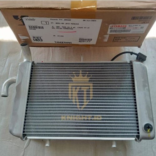 Yamaha X-MAX XMAX X-MAX300 XMAX300 CZD300 B74-E240A-01 Radiator Assy Genuine - Picture 3 of 6