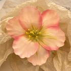 Bild 13 von 20