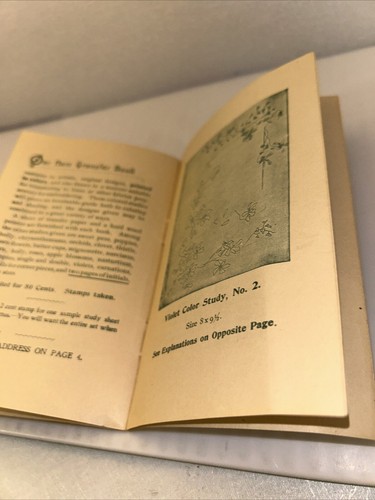 Instructions For Embroidering Flowers 1898 M. Hemingway & Sons Silk Co. - Picture 14 of 17