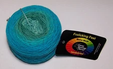 4oz Done Roving FROLICKING FEET GRADIENT DK HandPainted Merino Yarn #6 QUODDY BA