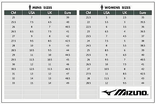 New Mizuno Futsal Shoes Morelia SALA PRO IN Q1GA2413 25 | eBay