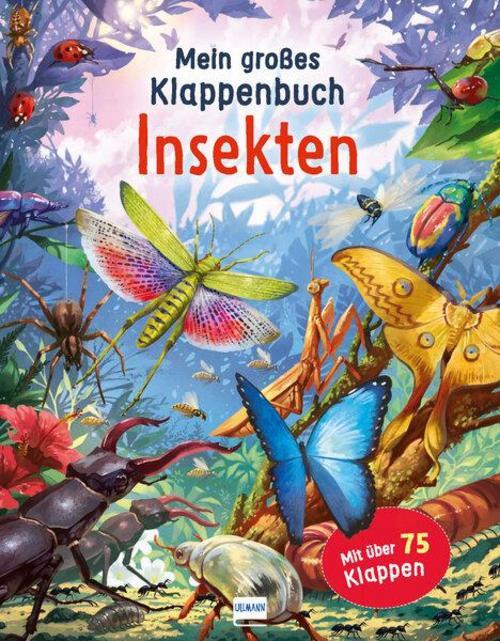 Mein Großes Klappenbuch - Insekten Rod Green