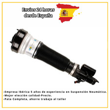 TELESKOPBEIN VORNE RECHTS MERVEDES S-KLASSE A2203202238 A220320223880