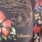 Mid Century Souvenir Metal Serving Tray Hawaiian islands — photo 7
