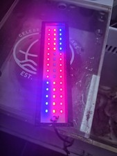 Aqua Gadget Chaetomax Refugium Light Innovative Marine All In On AIO Reef Tank