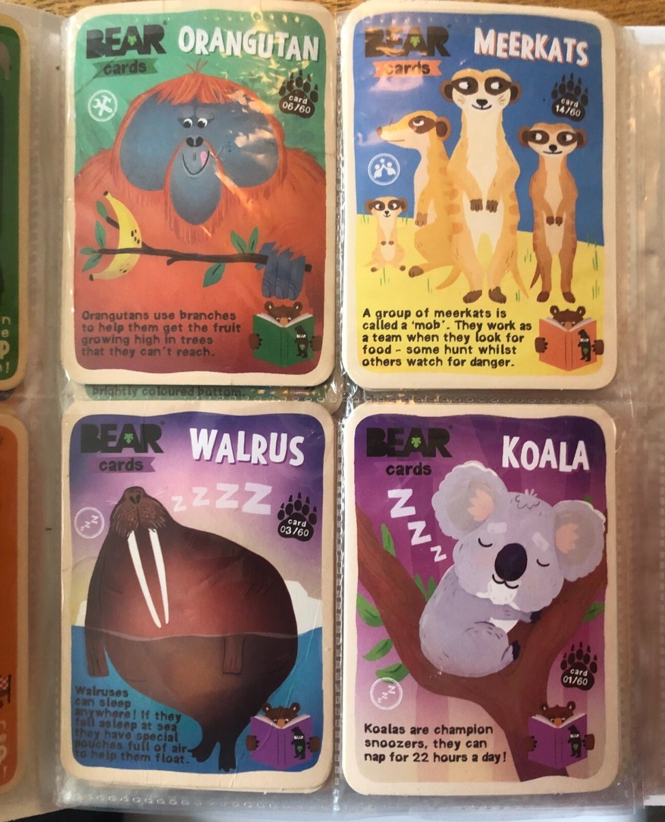 rare bear yoyo cards Yoyo Bear cards Collector's Corner and Shop