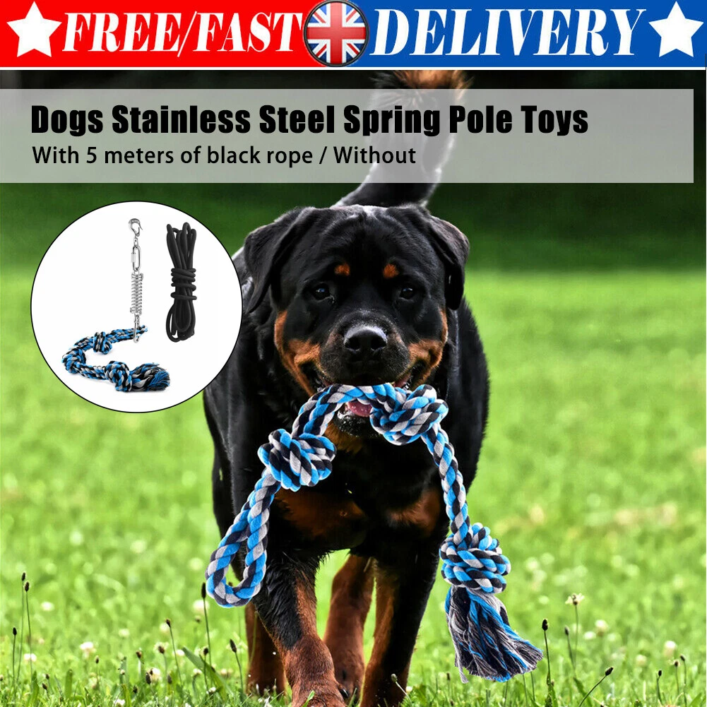 Strong Spring Pole Pitbull Dog Chew Toy