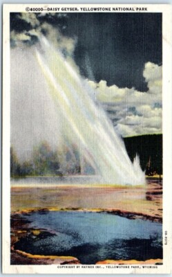#ad #ad Postcard Daisy Geyser Yellowstone National Park Wyoming $8.39