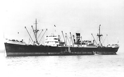 Victoria Star Ship of the Blue Star Line Shipping Co OLD PHOTO