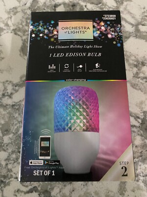Gemmy Orchestra of Lights Commercial Pro Multicolor LED Edison Bulb Fast Ship