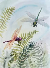 Dragonflies And Ferns