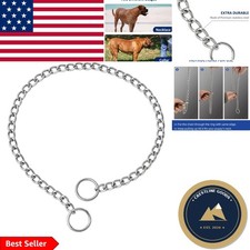 Compact 16'' Silver Choke Collar for Extra Small Dogs Rust-Resistant