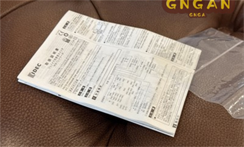 NEW IDEC HS1L-DQ4 Safety Door Lock Switch HS1L-DQ44KMSR-G US free tax  DHL