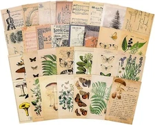 Vintage Style Postcard Set, Pack of 30 Botanical Plants Butterfly Mushroom Leave