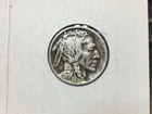 1919 buffalo nickel in extra fine