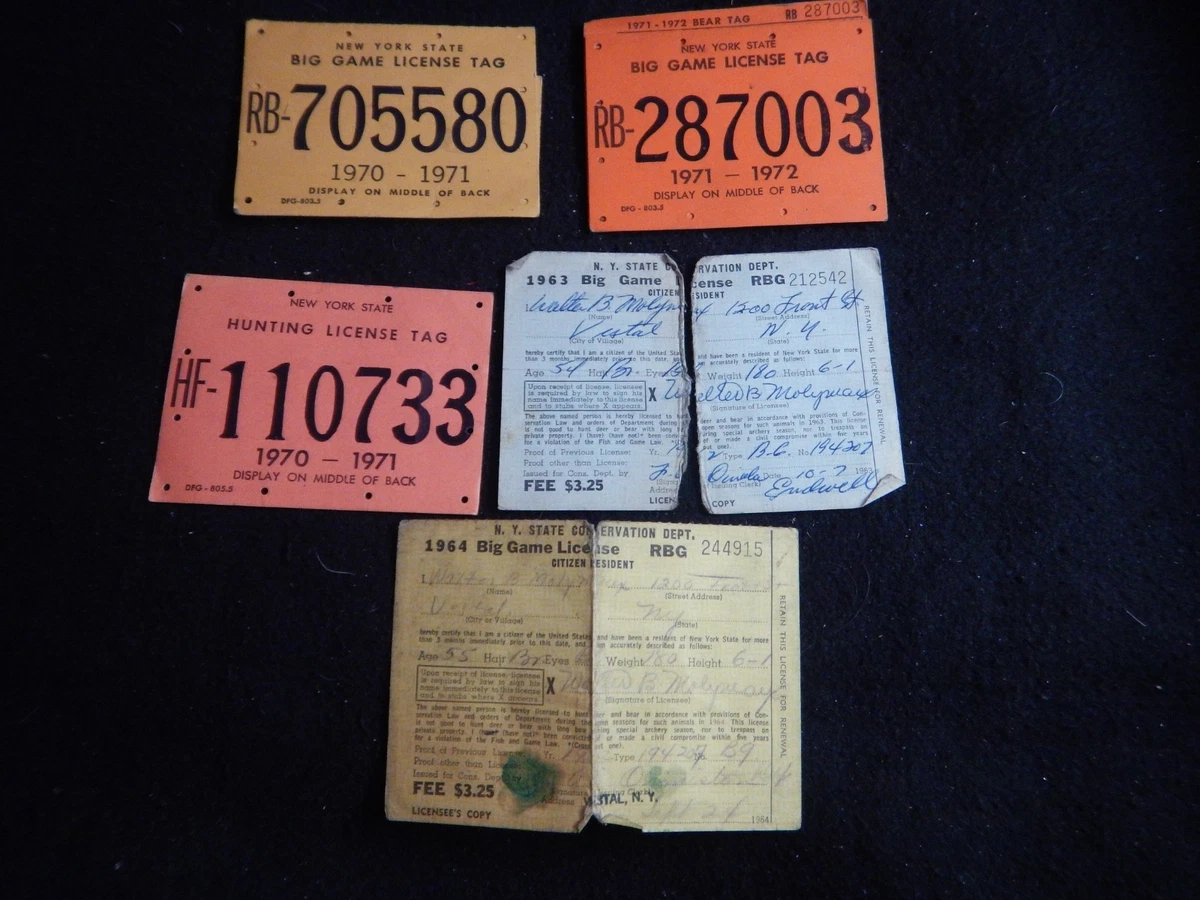 Permis De Chasse Spécial Cerf - État De New York, 1938 - Vintage Collection
