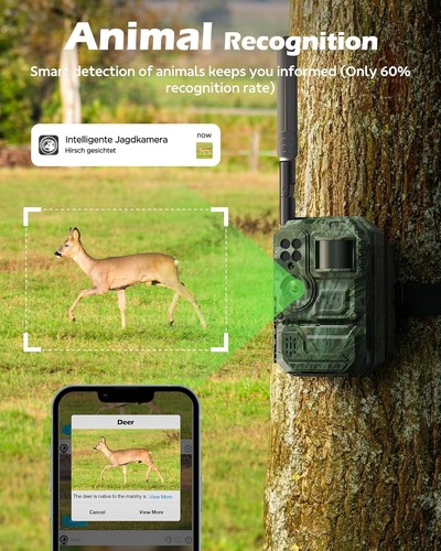 Cellular Trail Camera with Live Streaming - 4G LTE Unlimited Data Solar Game ... - Picture 5 of 8