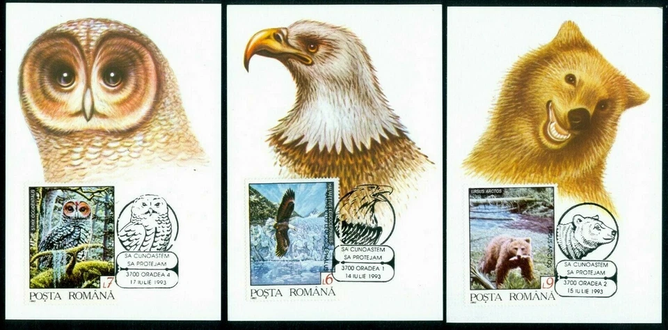 1992 alce, búho, lobo, oso, salmón, águila, ciervo, animales salvajes, Rumania, 4836 = 7 maxi cartas Foto 2 de 2