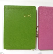 2025 Weekly NOTEBOOK Datebook Planner Leather Cover Graphic Image $95 GREEN