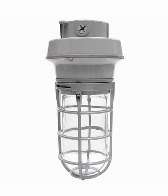 LUMA PRO VAPOR TIGHT 100W METAL HALIDE LIGHT - 21R878 W/Bulb
