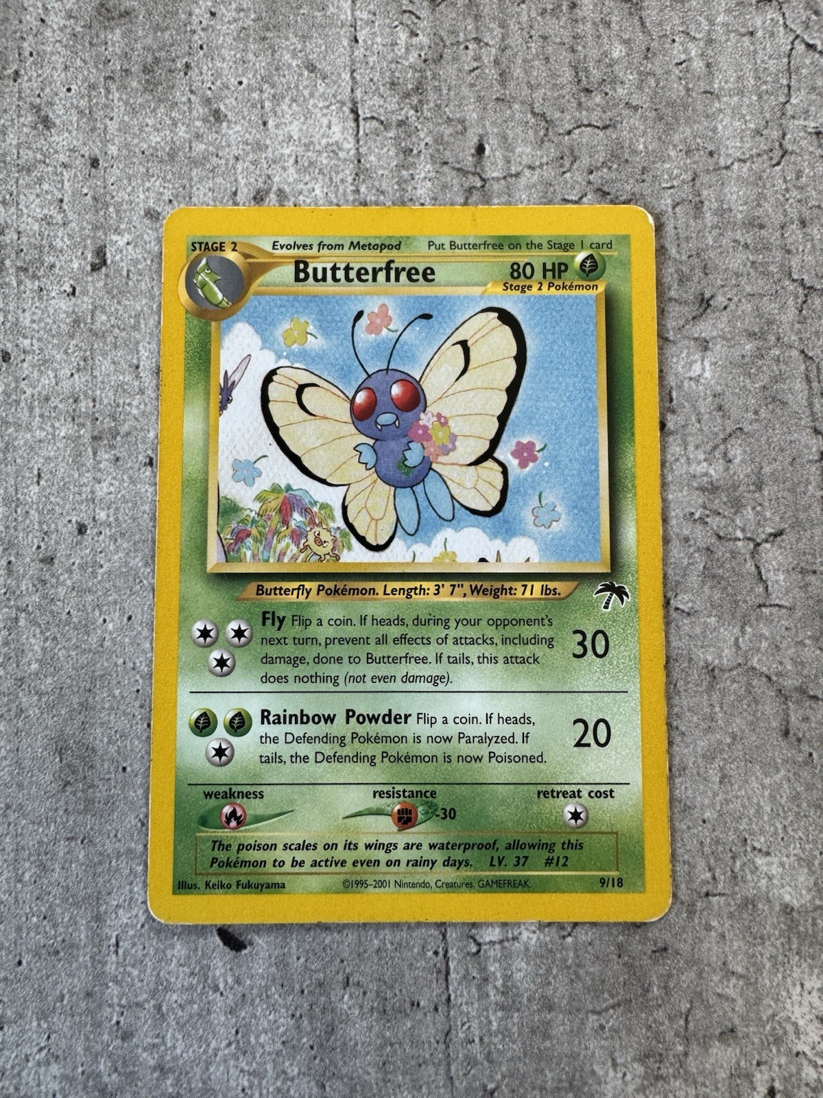 Pokemon Card TCG Southern Islands Butterfree 9/18 - LP