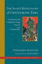 The Secret Revelations of Chittamani Tara by David Gonsalez (Hardback Book)